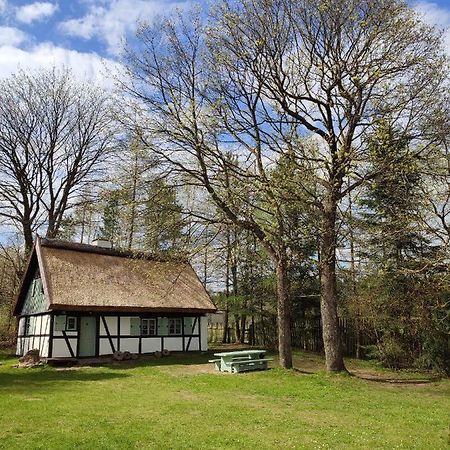 Malanka - Kaszubska Checz Villa Strzepcz Exterior foto
