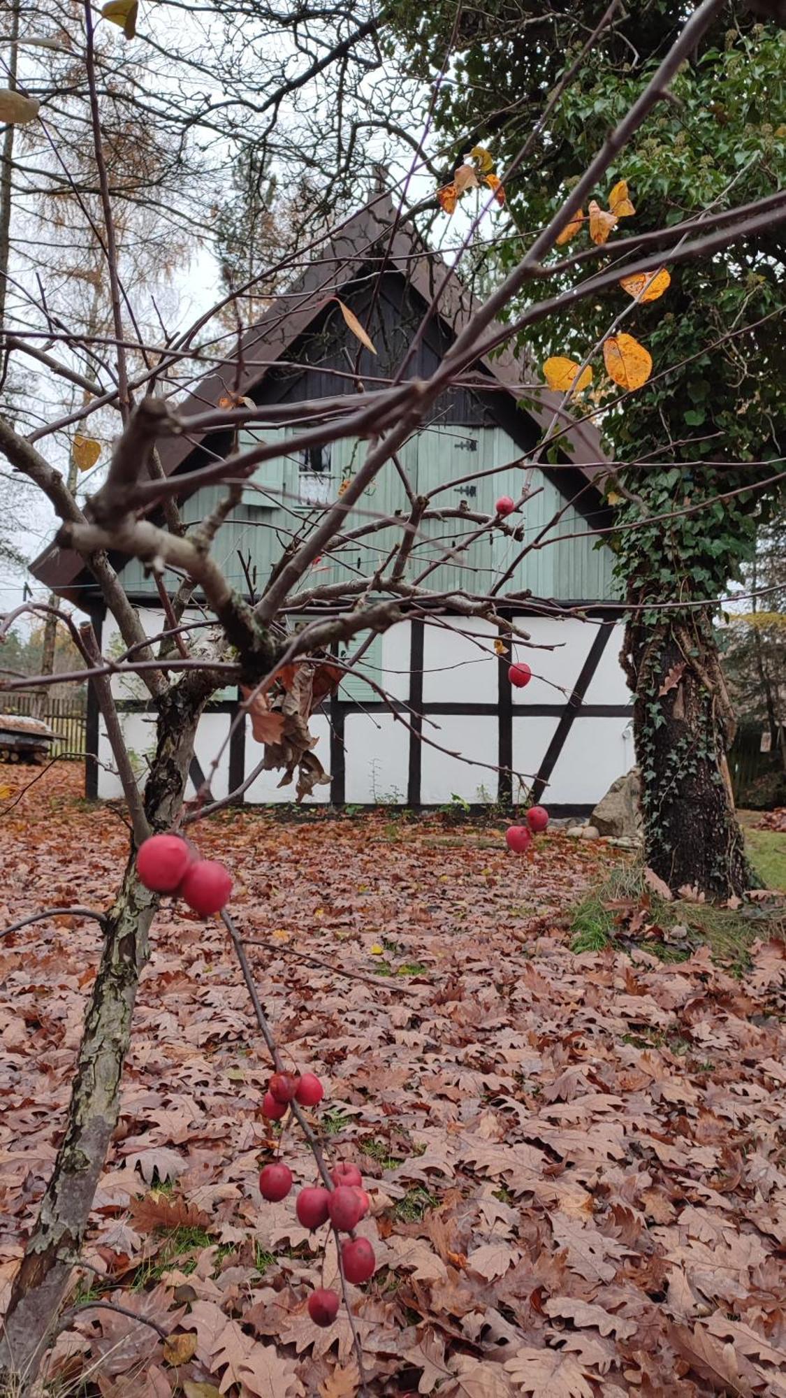 Malanka - Kaszubska Checz Villa Strzepcz Exterior foto